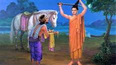 Ý nghĩa quá trình tìm đạo và tu chứng của Đức Phật