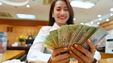 Bảo đảm tiến độ xây dựng các văn bản để triển khai chính sách cải cách tiền lương