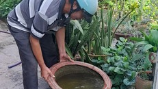 CDC khuyến cáo người dân lật úp các vật dụng chứa nước có nguy cơ phát sinh bệnh. (Ảnh minh hoạ)