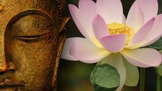 Lời Phật dạy: không đắm nhiễm thì sống vui