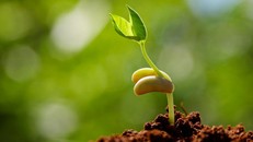 Đừng chèn ép chính mình