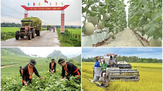 Nhiều tỉnh thành chậm giải ngân vốn đầu tư công