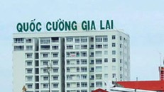 Công ty Cổ phần Quốc Cường Gia Lai (MCK: QCG).