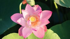 Cuộc sống chính là những điều chưa biết