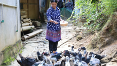 Nguồn vốn vay không lãi suất mang đến nguồn lực phát triển kinh tế cho phụ nữ dân tộc thiểu số.