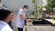 Bể nước là môi trường thuận lợi để muỗi phát triển. 