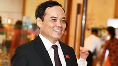 Phó Thủ tướng Chính phủ Trần Lưu Quang được điều động làm Trưởng Ban Kinh tế Trung ương. 