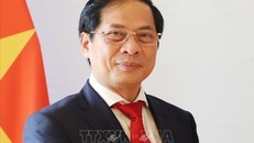 Đồng chí Bùi Thanh Sơn, tân Phó Thủ tướng Chính phủ. 