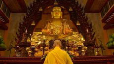 Mục đích chính của việc hành sự Bố-tát định kỳ nửa tháng là duy trì sinh mệnh tồn tại của Tăng đoàn theo tinh thần hòa hợp và thanh tịnh.