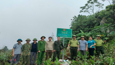 Công an tỉnh Tuyên Quang thường xuyên phối hợp cùng các lực lượng chức năng thực hiện tuần tra bảo vệ rừng; tham gia các cuộc kiểm tra liên ngành do Ban chỉ đạo thực hiện Chương trình mục tiêu phát triển rừng bền vững tỉnh thành lập. 