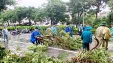 Hà Nội tập trung lực lượng thu dọn, khôi phục cây xanh gãy đổ do bão số 3