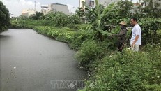 Con kênh nổi váng, nước đen kịt tại làng nghề bánh đa Lộ Cương, phường Tứ Minh, thành phố Hải Dương.