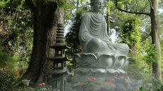 Lộ trình Thành đạo của Bồ-tát Siddhartha