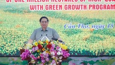 Thủ tướng Phạm Minh Chính chủ trì Hội nghị triển khai đề án phát triển bền vững một triệu hecta lúa vùng Đồng bằng sông Cửu Long. 