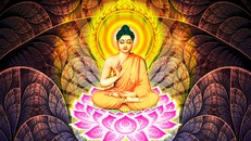 Bận và không bận