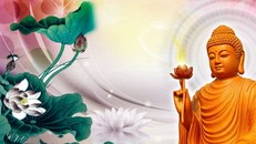 Biển người mênh mông, hội ngộ đều là nhân duyên tốt đẹp