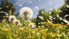 Người tử tế không phải là người chưa từng vấp ngã