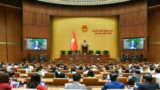 Kỳ họp thứ 8, Quốc hội khóa XV.