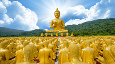 Năm sự thật người theo Phật cần thấy biết