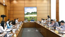 Đoàn đại biểu Quốc hội các tỉnh Quảng Bình, Ninh Bình, Hưng Yên và Bắc Kạn thảo luận ở tổ. 