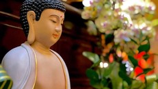 Tu trong bệnh tật