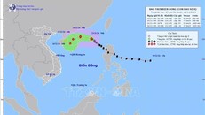 Đường đi của bão số 08, lúc 04h ngày 13/11/2024.