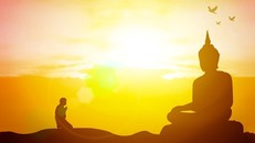 Ánh sáng từ câu Kinh Phật