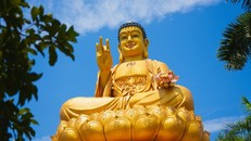 Xá Lợi Phật - Biểu tượng giác ngộ và niềm tin chính pháp