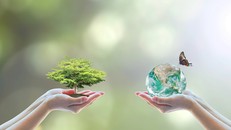 2 món tráng miệng có nhiều protein hơn trứng