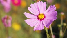 Ta tìm gì trong cuộc sống?