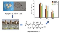 Sơ đồ nghiên cứu thu nhận hợp chất kháng ung thư vismione E từ chủng vi nấm Aspergillus. 