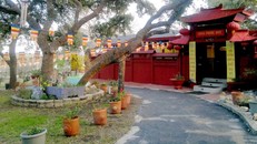 Ngôi chùa Việt tại San Antonio, Texas- Mỹ