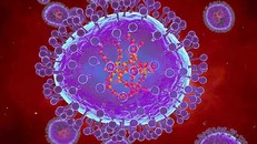 Bộ Y tế thông tin virus gây viêm phổi trên người tại Trung Quốc.