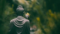 Hành trang cho già bệnh