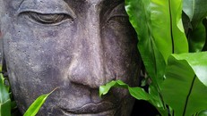 Sống thật chậm, để sống được lâu