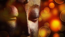 Đầu xuân Ất Tỵ nghĩ về kinh Ví dụ con rắn