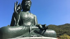 Hãy sống với tâm từ để hóa giải xung đột và thù hận