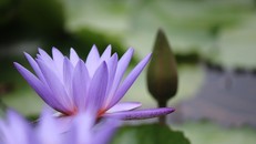 Đánh thức yêu thương