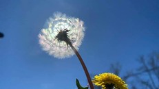 Đừng mong cuộc sống bớt đi khó khăn, hãy mong mình trở nên mạnh mẽ hơn