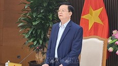 Phó Thủ tướng Mai Văn Chính phát biểu chỉ đạo. 