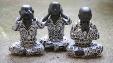 Trong lòng có năng lượng từ bi là đang sống trong môi trường an toàn nhất