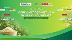 Định vị hạt gạo Việt Nam trong kỷ nguyên mới