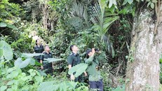 Cán bộ Ban quản lý rừng đặc dụng, phòng hộ tỉnh Thái Nguyên cùng người dân địa phương tuần rừng tại khu vực xã Cúc Đường (Võ Nhai). 