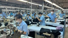 Doanh nghiệp tư nhân đang tạo ra nhiều việc làm cho người lao động.(Ảnh minh hoạ)