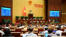 Quốc hội thông qua Luật sửa đổi, bổ sung một số điều của Luật Chất lượng sản phẩm, hàng hóa.