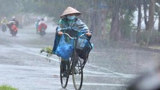 Nhiều địa phương có mưa trên 100mm.