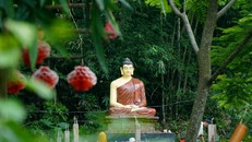 Lời Phật dạy về pháp môn niệm Phật