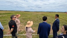 Các đại biểu tham quan khu đất đã sạch bom mìn tại Quảng Trị. (Ảnh: Đại sứ quán Nhật Bản tại Việt Nam)