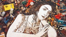 Tác phẩm bằng vải và tranh ảnh kỷ niệm 50 năm 'Con người và sinh quyển' 