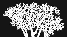 Bản ngã và ảo ảnh 